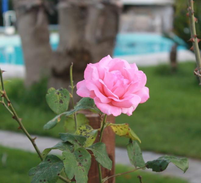 Dal Natale alla luce di aprile: il Salento si prepara all’estate