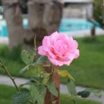 Dal Natale alla luce di aprile: il Salento si prepara all’estate